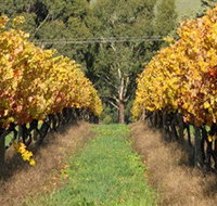 Wild Dog Winery  Restaurant - Accommodation 4U