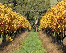 Wild Dog Winery & Restaurant - Accommodation 4U 0