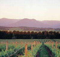 Domaine Chandon - Accommodation 4U