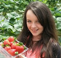 Yarra Valley Gateway Estate - Accommodation 4U