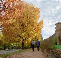 Indigo Gold Trail - Accommodation 4U