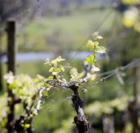 Booth's Taminick Cellars - Accommodation 4U
