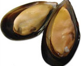 Sea Bounty - Accommodation 4U 0