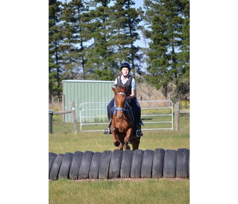 Saddle On Riding School - Accommodation 4U 9