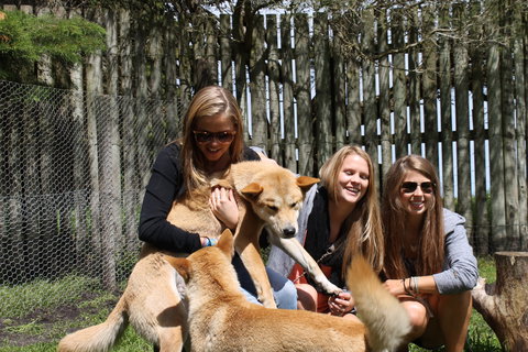 Great Ocean Road Wildlife Park - Accommodation 4U 3