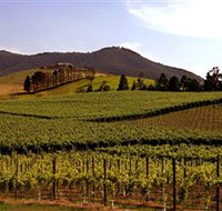 Soumah of Yarra Valley - Accommodation 4U