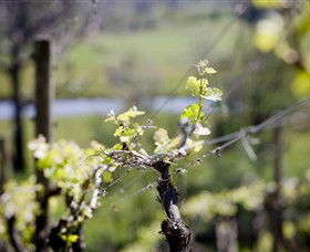 Lindemans Karadoc Winery - Accommodation 4U 0