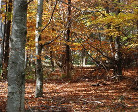 RJ Hamer Arboretum - Accommodation 4U 0