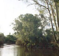 Banksia Park