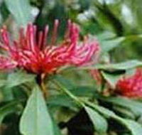 Alfred National Park - Accommodation 4U