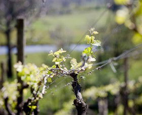 Eldridge Estate Of Red Hill - Accommodation 4U 0