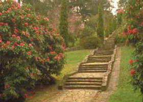 Maroondah Reservoir Park - Accommodation 4U 0
