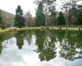Mountain Fresh Trout And Salmon Farm - Accommodation 4U 0