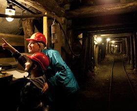 State Coal Mine - Accommodation 4U 0