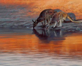 Steve Morvell Wildlife Art - Accommodation 4U 0