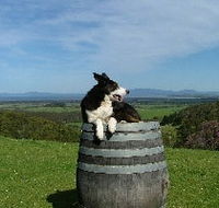Windy Ridge Vineyard and Winery - Accommodation 4U