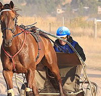 Ballarat  District Trotting Club - Accommodation 4U