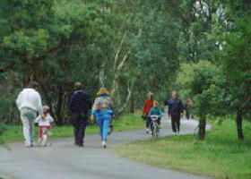 Birrarrung Park - Accommodation 4U 0