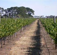 Mount Beckworth Wines - Accommodation 4U