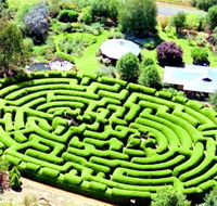 Wandiligong Maze - Accommodation 4U