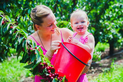 Cherryhill Orchards - Accommodation 4U 0