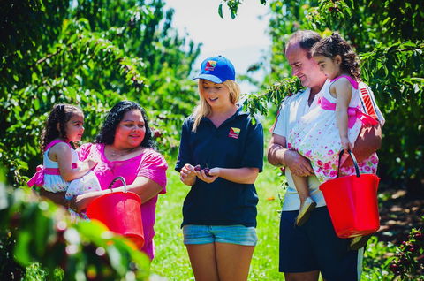 Cherryhill Orchards - Accommodation 4U 1