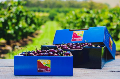 Cherryhill Orchards - Accommodation 4U 3