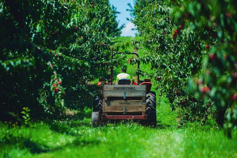 Cherryhill Orchards - Accommodation 4U 7