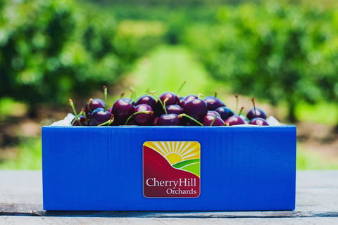 Cherryhill Orchards - Accommodation 4U 8