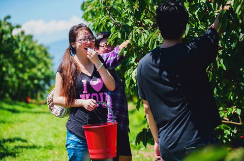 Cherryhill Orchards - Accommodation 4U 9