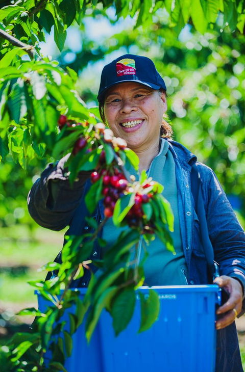 Cherryhill Orchards - Accommodation 4U 11