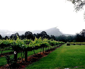 Cambewarra Estate Wines - Accommodation 4U 0