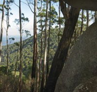 Gulaga National Park - Accommodation 4U