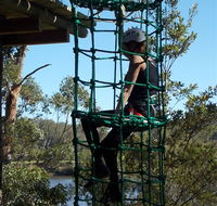 Trees Adventure Shoalhaven - Accommodation 4U