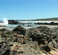 Coastal Walks - Bermagui