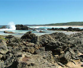 Coastal Walks - Bermagui - Accommodation 4U 0