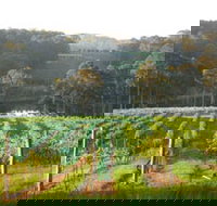 Tilba Valley Wines - Accommodation 4U