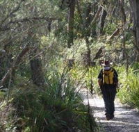 Barren Grounds Nature Reserve - Accommodation 4U