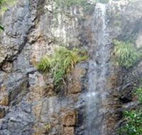 Wedding Bells Forest Drive - Accommodation 4U
