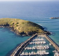 Muttonbird Island Nature Reserve - Accommodation 4U