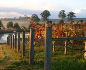 Roses Vineyard At Innes View - Accommodation 4U 2