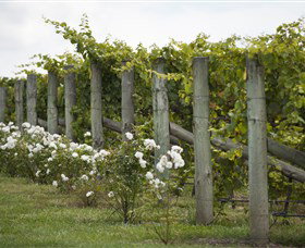 Lambert Vineyards Cellar Door - Accommodation 4U 2