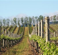 Philip Shaw Wines - Accommodation 4U