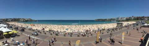 Real Sydney Tours - Accommodation 4U 2