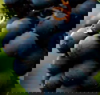 Swinging Bridge Estate