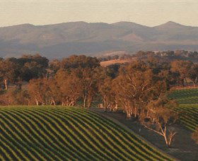 Angullong Wines - Accommodation 4U 0