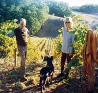 Mt Lofty Ranges Vineyard - Accommodation 4U