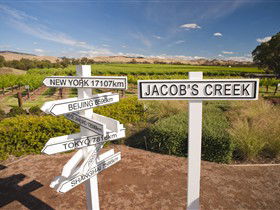 Jacob's Creek Vineyard Tour - Accommodation 4U 1