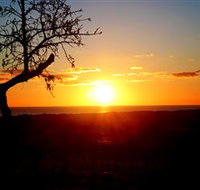 Rocky Ridge Vineyard and Cellar Door - Accommodation 4U