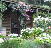 Lavina Wines - Accommodation 4U